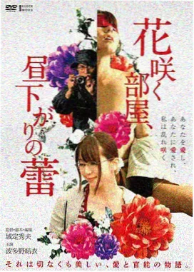 剧场版票房对比数据